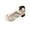 Beige, variant on Women'S High Heel Chunky Sandals Open Toe Comfort Cushion Footbed Pu Upper 2.95In Heel Us5.5