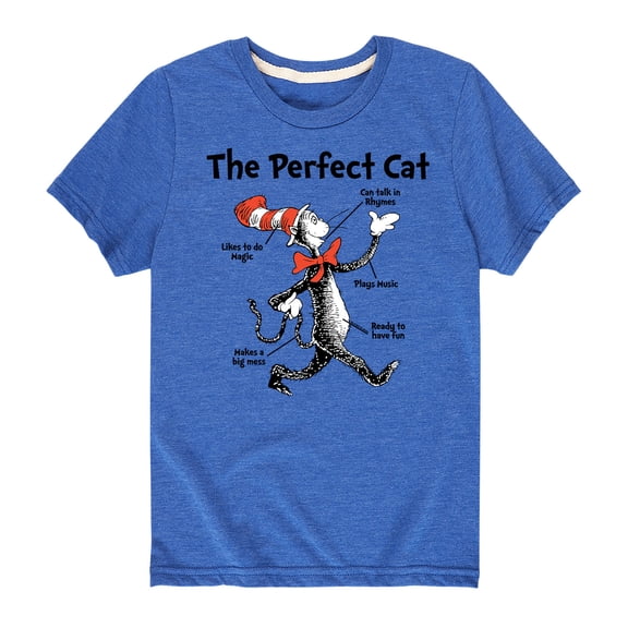 Dr. Seuss - Cat in the Hat The Perfect Cat - Toddler And Youth Short Sleeve Graphic T-Shirt
