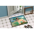 thumbnail image 4 of Carolines Treasures 7138MAT Tapis Intérieur Extérieur 18 x 27 Po. Afghan Hound, 4 of 4