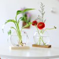 thumbnail image 3 of EIMELI Nordic Mini Creative Glass Clear Flower Vase Plant Bottle Hydroponic Terrarium Container Holder with Wood Stand Table Embellishment for Home Living Room Office Garden(Without Plant, 3 of 11