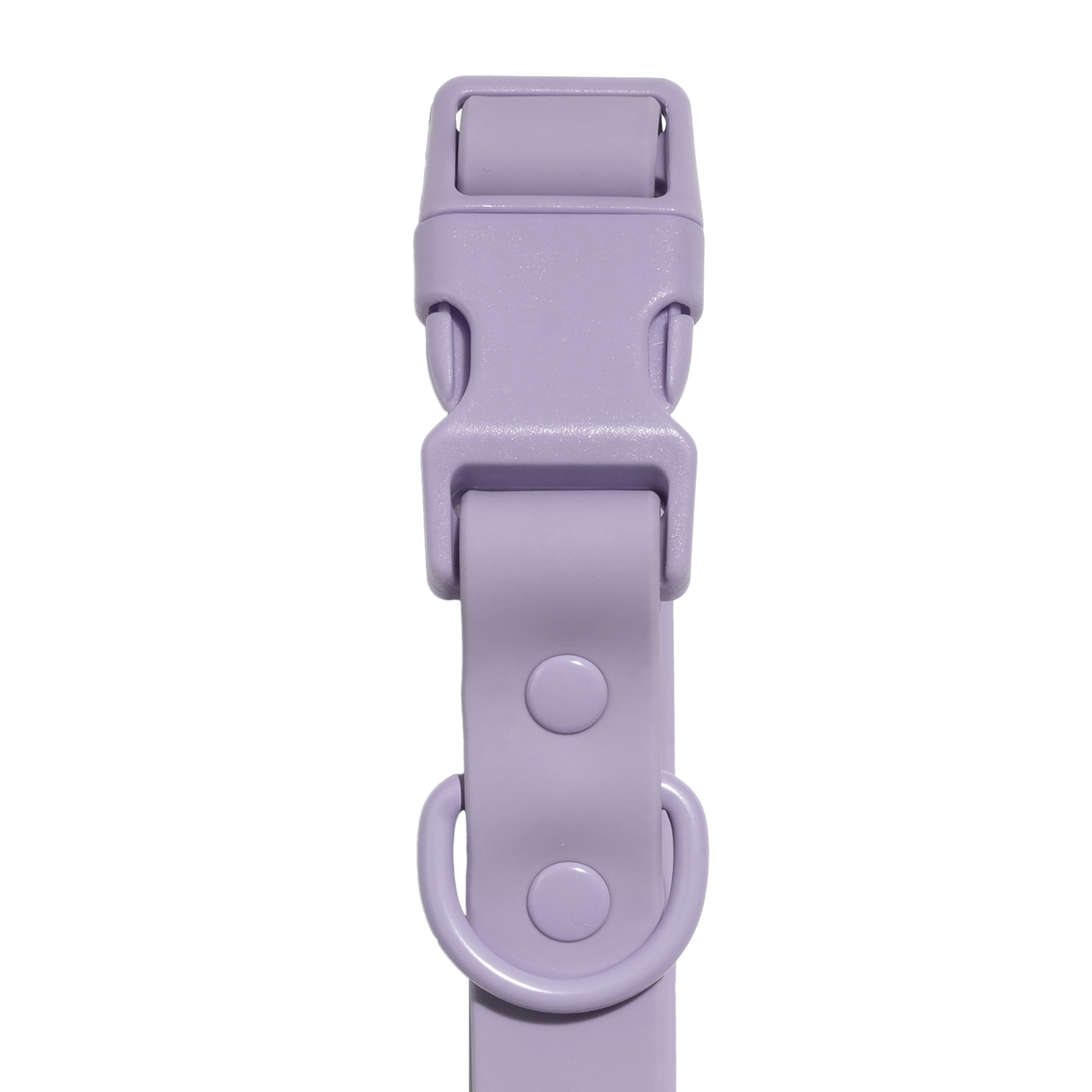 Vibrant Life Water Resistant Adjustable Dog Collar, Lavender, S