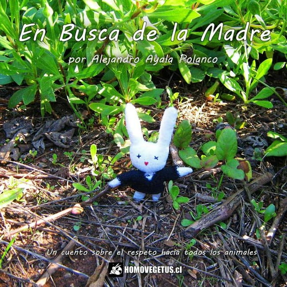 En Busca de la Madre, (Paperback)