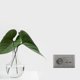 thumbnail image 5 of Enchufe de Pared de Plástico Zulema Doble USB Estándar Francés, 5 of 7