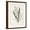 Brown Frame, variant on Art.com Snowdrop & Snowflake Art Print by Gwendolyn Babbitt, 12" x 16"