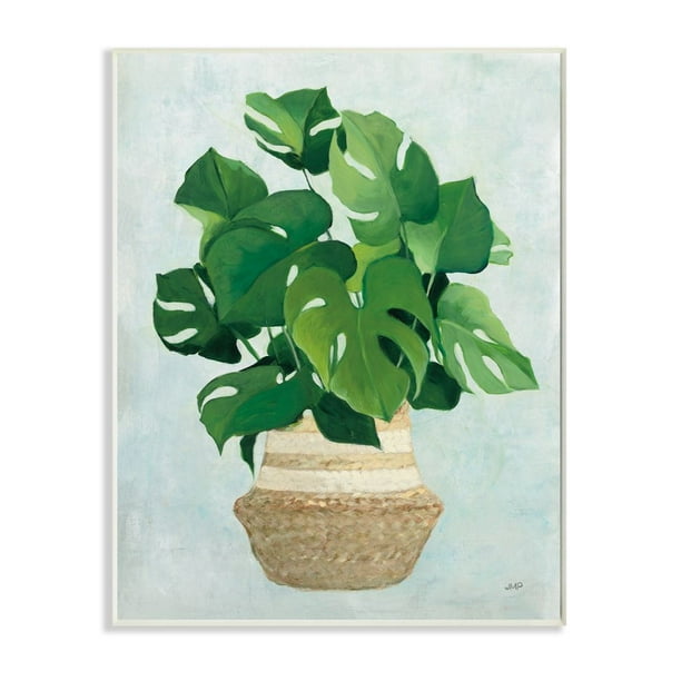 Stupell Industries Monstera Plant Basket Green Leaf Minimal Stupell Industries Monstera Plant Basket Green Leaf Minimal