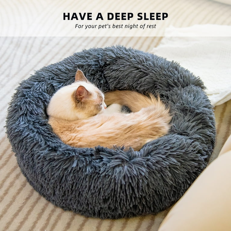 Therapeutic on sale cat beds