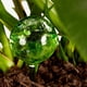 thumbnail image 3 of Apuakthei - Bola de riego para flores, vaso de riego, brazo de riego, bolas de riego, maceta pequeña con autorriego de 7,5 x 20 cm para plantas en macetas, 3 of 8