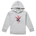thumbnail image 1 of Spider-Man Tenue de Vacances pour Garçons/filles Chandail à Capuchon Chiné, 1 of 6