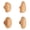 Beech1, variant on AOOOWER Pack Of 4 Solid Wood Nordic Stone Hooks with Strong Adhesive Backing for Wall