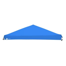 Ozark trail 9x9 canopy hotsell