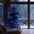 thumbnail image 3 of Danson Décor 200 C6 Guirlandes Lumineuses à DEL, Bleu, 3 of 4