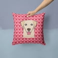 thumbnail image 2 of Carolines Treasures BB5322PW1414 Golden Retriever Fabric Decorative Pillow, 14Hx14W, multicolor, 2 of 4