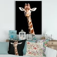 thumbnail image 2 of Designart 'Close Up Portrait Of A Giraffe On Black V' Farmhouse Framed Canvas Wall Art Print, 2 of 5