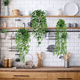 thumbnail image 5 of Plantas Artificiales Colgantes Decorativa Con Macetas Lab.G, Verde, 5 of 5