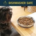 thumbnail image 6 of OurPets DuraPet Premium Stainless Steel Non-Tip Cat or Dog Bowl for Food or Water (1.75 Cups), 6 of 7