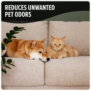Dirt Devil Pet Room Refresher Carpet Powder, Tropical Wind Scent, for Carpet and Upholstery, Vacuum Safe, Pet Odor Eliminator, AD31211, 32 oz.