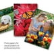 thumbnail image 3 of papel fotográfico HP Premium Plus | | brillante | 5x7 60 Hojas, 3 of 27