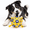 Soccer Ball 6" (Gold)-Mini 6", variant on 6" Jolly Soccer Ball For Dogs - Tough Durable Dog With Straps Pet Bouncy Herding Balls Floating Tags Water Fetch Baabaaball (
