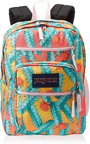 jansport cactus backpack