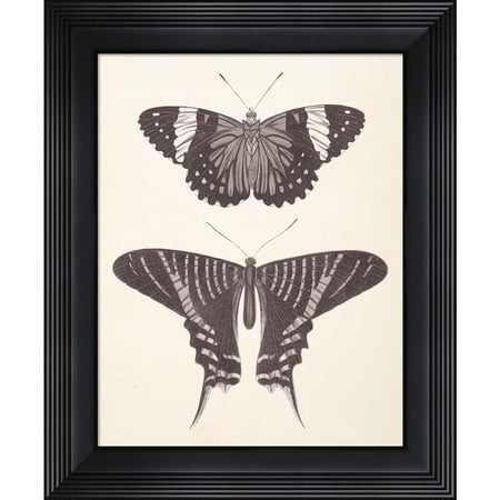 Great Art Now Papillons I Neutral by Wild Apple Portfolio, Framed Wall Art, 15.5W x 18.5H