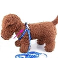 thumbnail image 3 of AMERTEER Nylon Small Dog Cloth Chest Leash Pet Dog Chest Leash Leash Rope, 3 of 8