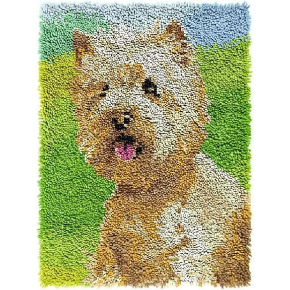 Latch Hook Rug Kits, DIY Latch Hook Rug, Home Carpet Rug Making Canvas Kits, DIY Crochet Kits Embroidery Kits Needlework Crafts for Home Decor, Latch Hook Kits for Beginners Kids Adults, 50 X 38 cm