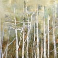 thumbnail image 3 of Masterpiece Art Gallery Necessary Change, Summer Birch By Danna Harvey Canvas Art Print 24" x 24", 3 of 4