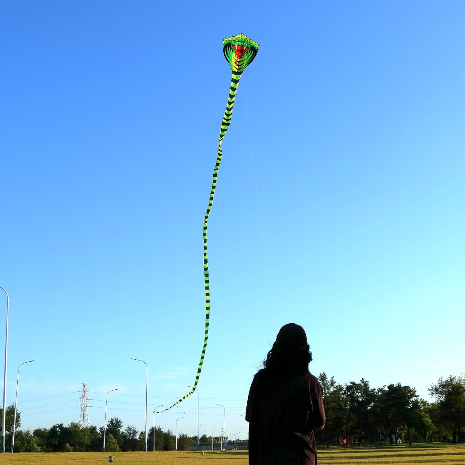 Giant Snake Kite - 50ft Single String Beach Kite for Beginners & Kids, Easy to Fly, 330ft String Handles