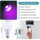 thumbnail image 2 of Bombilla LED negra GOHDLAMP A19 12 W 395-400 nm UVA, paquete de 3, 2 of 6