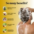 thumbnail image 3 of Lemon Sage Shampoo for Oily Hair - Sulfate Free Clarifying Shampoo for Build Up with Lemon Sage Keratin and Tea Tree Oil for Hair and Scalp Care - Deep Cleansing Rosemary Shampoo for Men and Women, 3 of 7