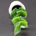 thumbnail image 3 of Adorno de Jardín de Plantas en Miniatura Perfecl para Casa de Muñecas 1:12, 3 of 8