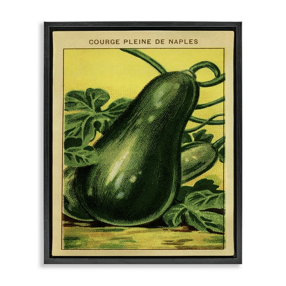Stupell Industries Country Vintage Squash Food & Beverage Painting Black Floater Framed Canvas Art Print Wall Art, 17 x 21