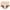 Beige, variant on GHSOHS Womens Underwear Pantys Panties for Women Lace Thongs for Women Women Solid High Waist Plus Size Underwear Ｍenstrual Pants Pure Cotton Underwear Menstrual Underwear Beige Brief Ladies Und,XXL