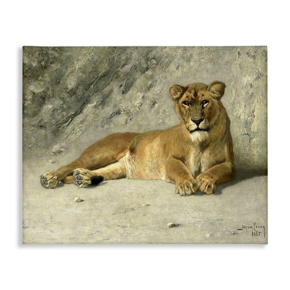 Stupell Industries Protective Wild Lion Animals Photography Wrapped Canvas Art Print Wall Art, 20 x 16