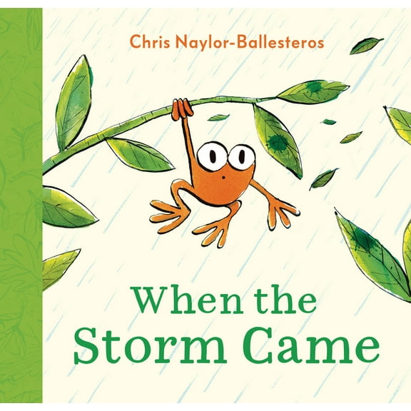 When the Storm Came, (Hardcover)