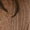 Brown Sugar, variant on Women's Plus Size Squareneck Pointelle Top