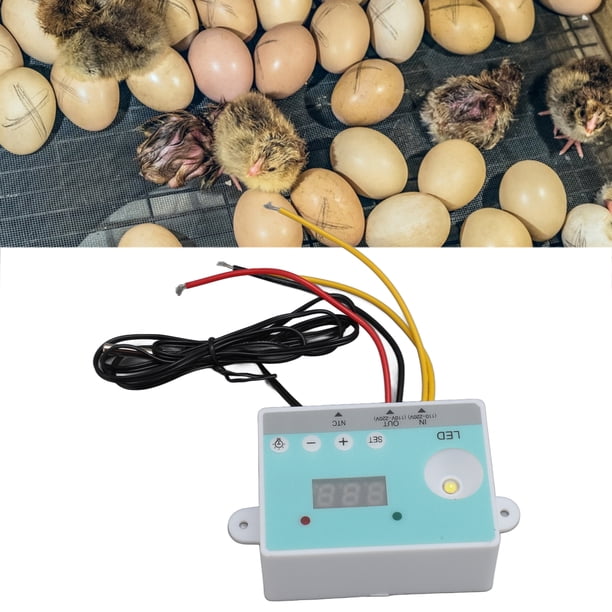 Controlador Automático De Temperatura De Incubadora, AC 110V-220V Controlador De Temperatura De Incubadora Automática Luz LED Profesional Para Huevos Para El Hogar