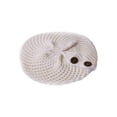 thumbnail image 1 of Buttoned Crochet Ribbed Knit Beanie Cap - Off White, 1 of 2
