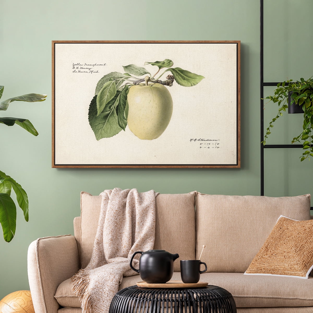 Vintage Botanical Print-XLV By Wexford Home Framed in Walnut Wood Gallery Wrapped Canvas 27 in. x 41 in.