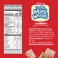 thumbnail image 6 of Kellogg's Frosted Mini-Wheats Strawberry Breakfast Cereal, High Fiber, Family Size, 20  oz, 6 of 14