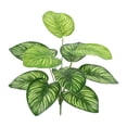 thumbnail image 3 of Artificial Plants Home Decor Green Photo Props Green Garden Decoration for Shelf F, 3 of 9