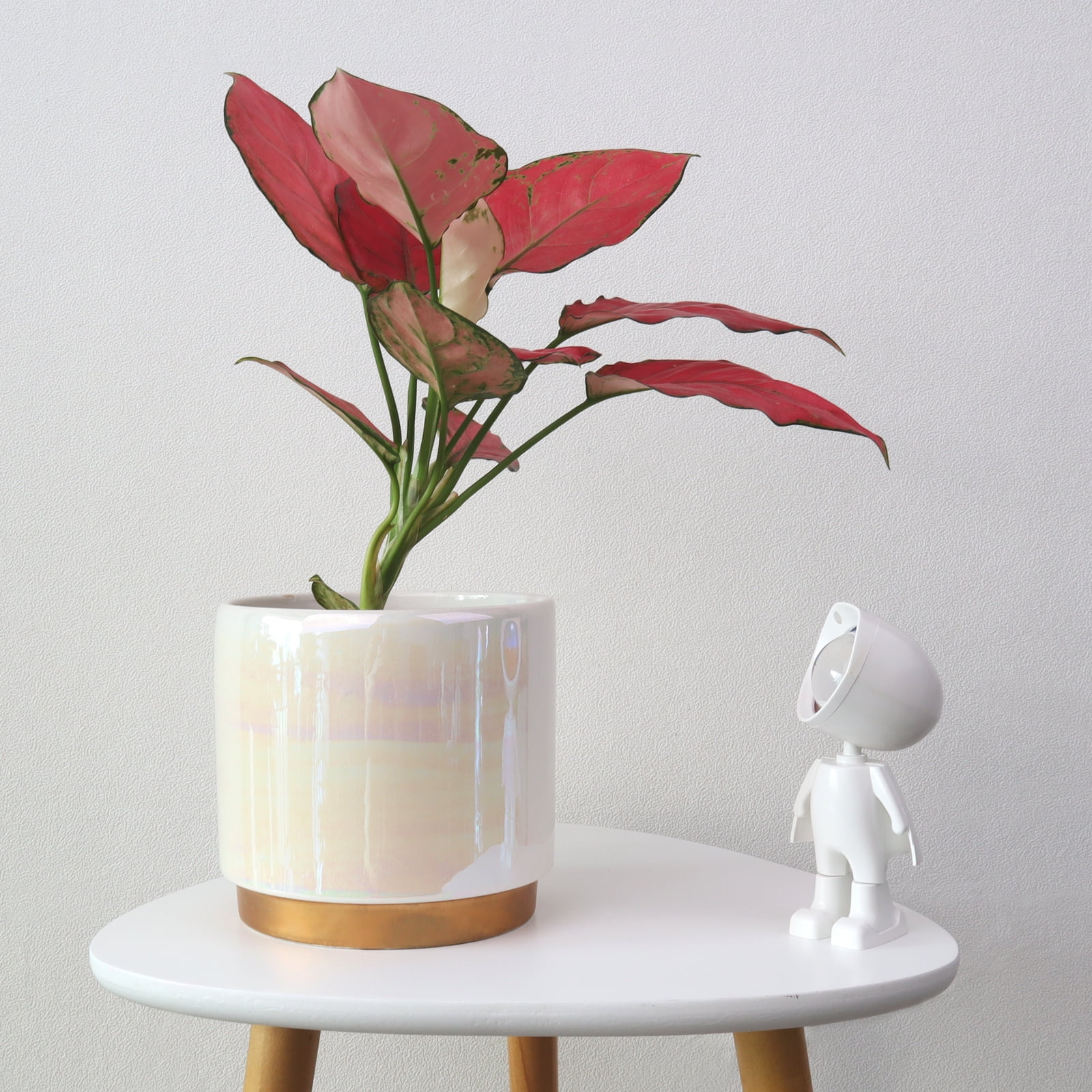 YFFSRJDJ White Plant Pots for Indoor Plants, Ceramic Planter with Drainage Hole, 6.0 inch+5.0 Inch+4.0 Inch. Succulent Orchid Flower Pot