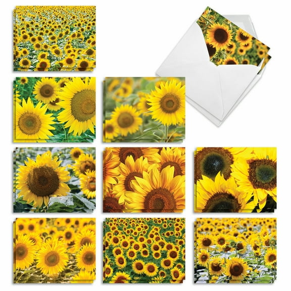 20 Blank All Occasion Note Cards with Envelopes (4" x 5.12") - SUNNY SIDE UP All Occasion (10 Designs, 2 Each) AM6042OCB-B2x10