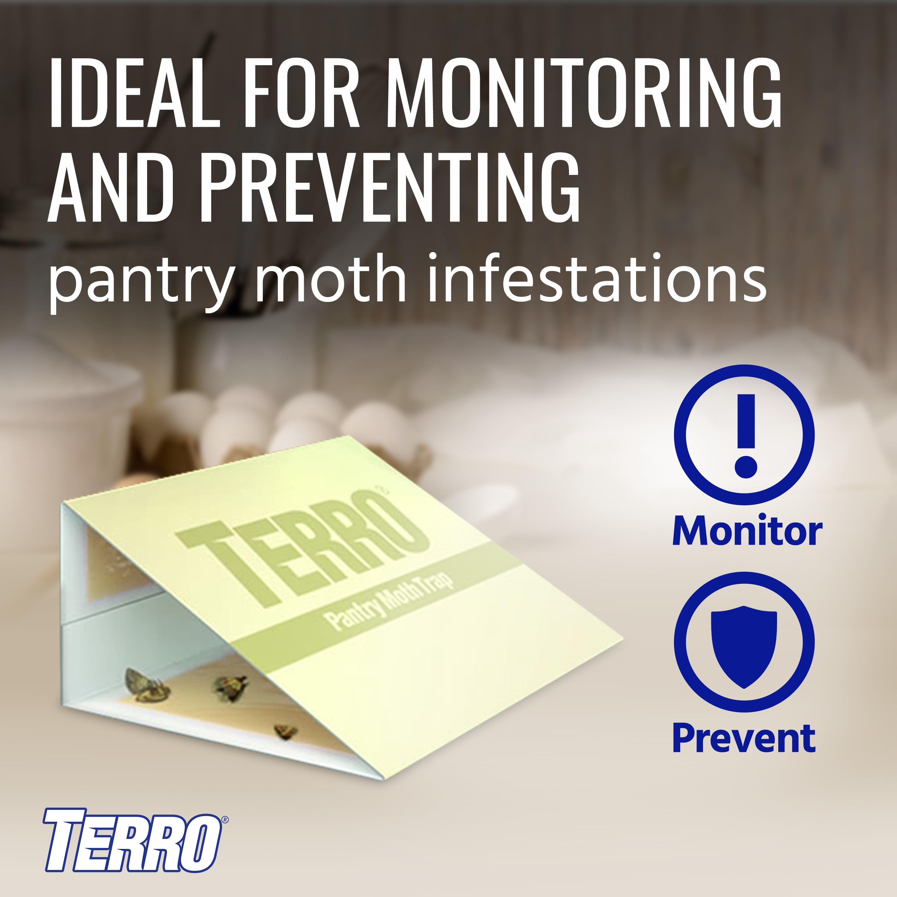 TERRO T2900 (Pack of 2) Pantry Moth Traps - Traps grain moths, flour moths,  meal moths, and seed moths, (Packaging May Vary)