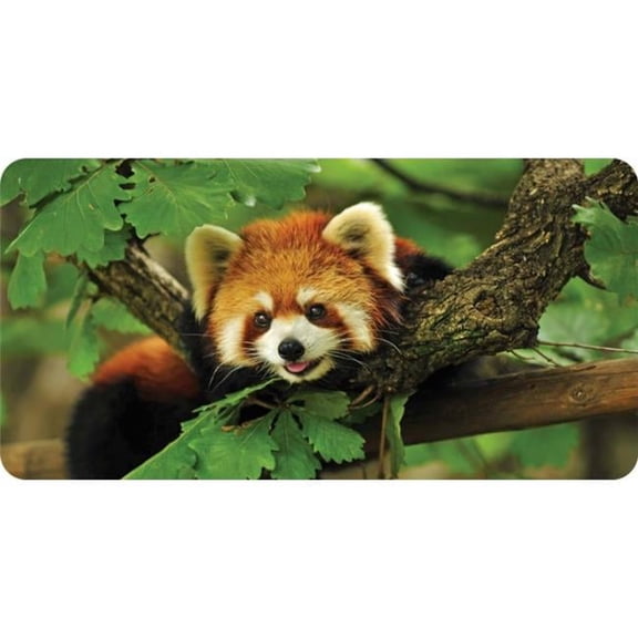 Red Panda Photo License Plate