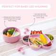 thumbnail image 3 of Grabease Baby Essentials Must-Haves - Complete Feeding Set for Baby-Led Weaning and Portion Control - Suction Bottoms 4 Piece Set, BPA and Phthalates-Free, Blush, 3 of 10