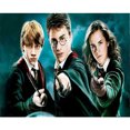 thumbnail image 1 of Taladro de pintura de diamante 5D Kits de bricolaje Redondo completo Harry Potter Mosaico Imagen de resina Hugtrwg Para estrenar, 1 of 9