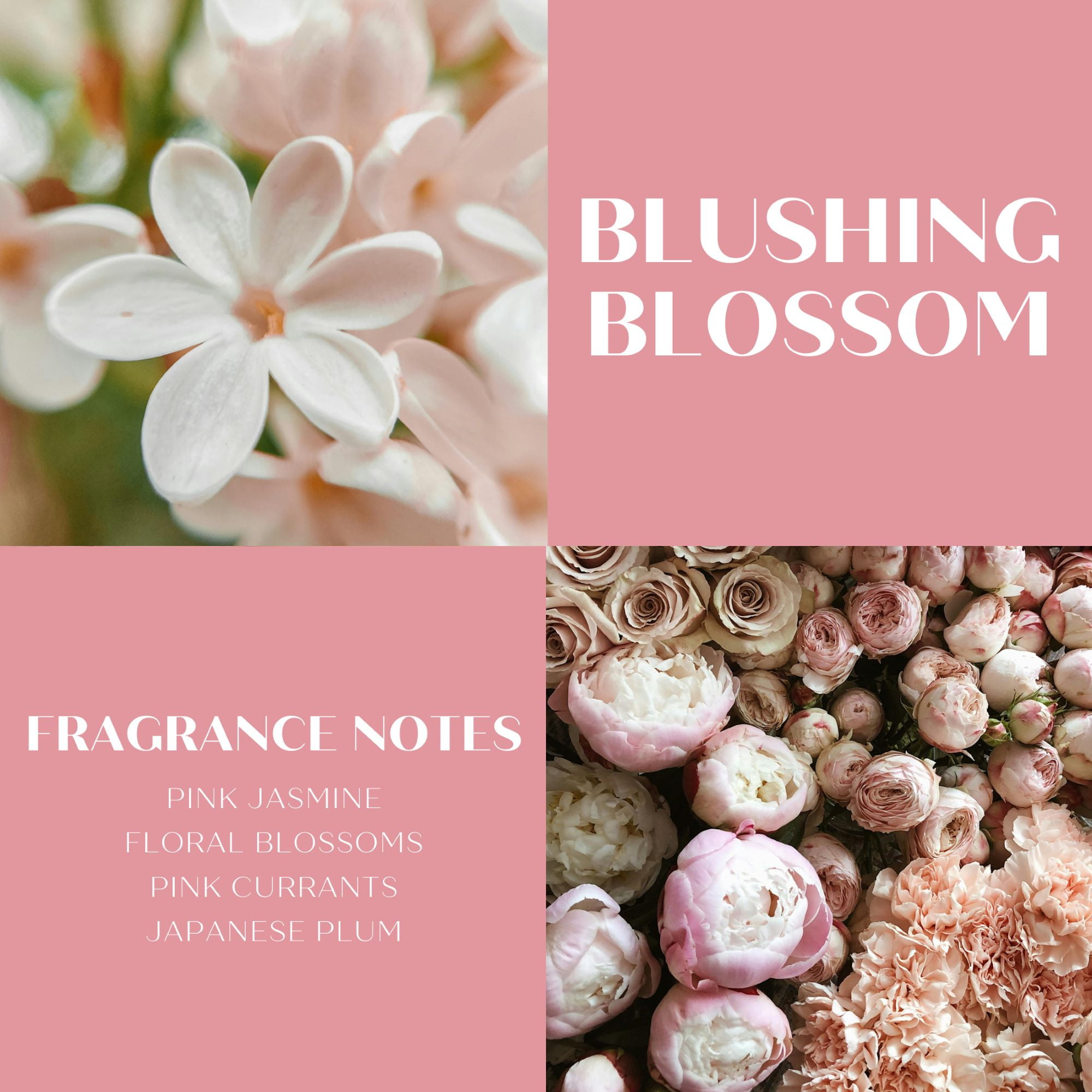 Scentworx Blushing Blossoms 16 oz Body Wash