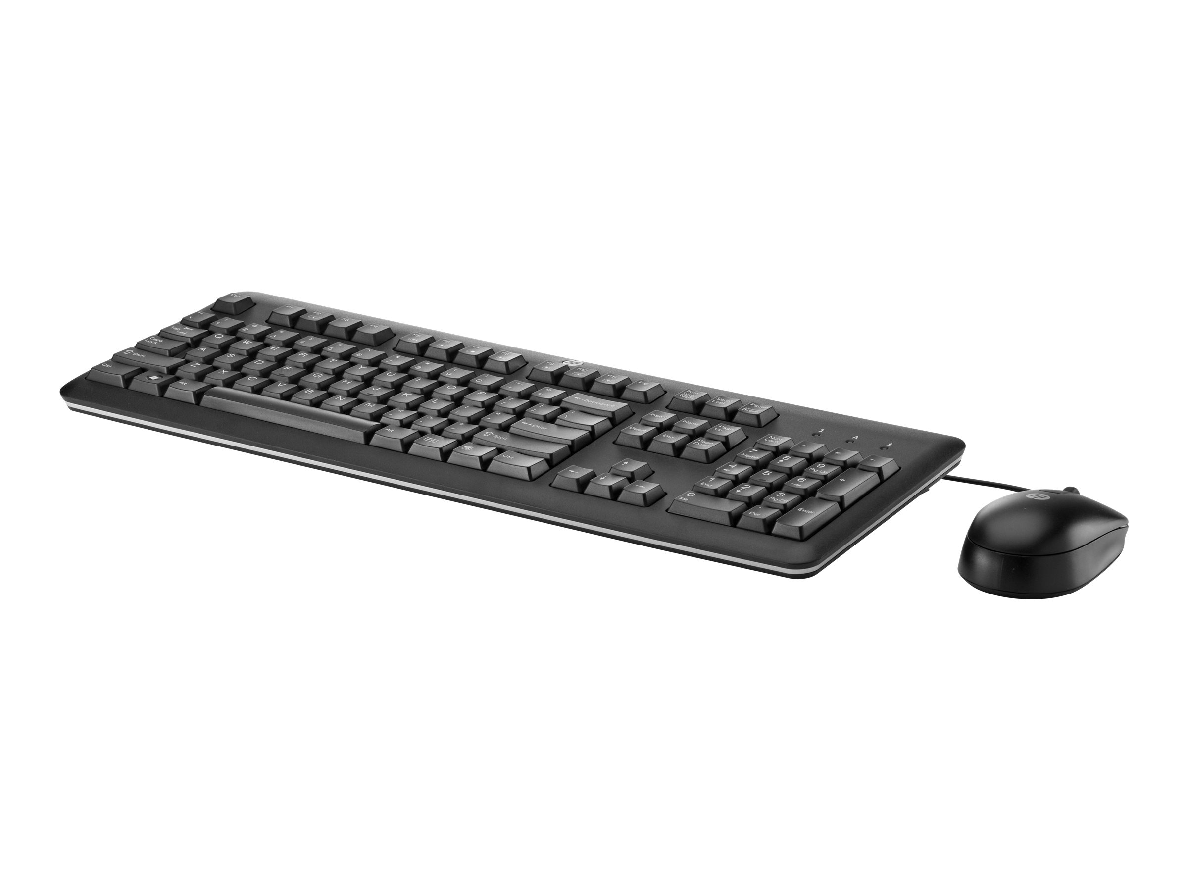 HP Keyboard and mouse set PS/2 US Smart Buy