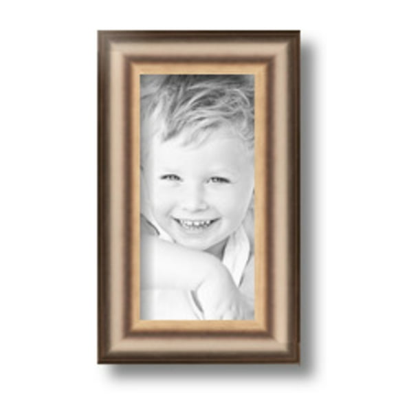 ArtToFrames 4x8" Anique Silver Picture Frame, Silver Wood Poster Frame, with Regular Glass and 2 (FBPL-4964)
